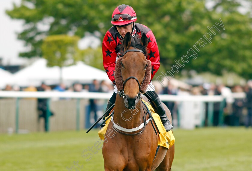 Hiroshima 
 HIROSHIMA (Ray Dawson)
Newmarket 1 May 2022 - Pic Steven Cargill / Racingfotos.com