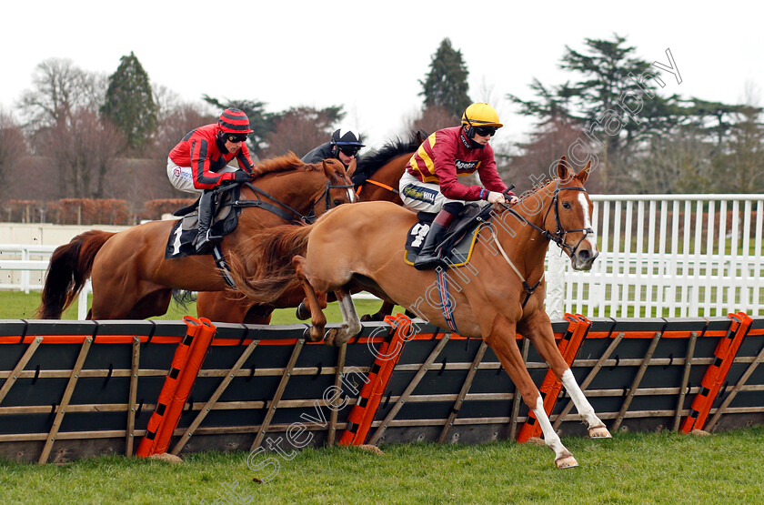 One-True-King-0004 
 ONE TRUE KING (Sam Twiston-Davies)
Ascot 20 Feb 2021 - Pic Steven Cargill / Racingfotos.com