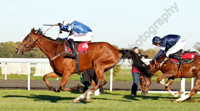 Copain-De-Classe-0005 
 COPAIN DE CLASSE (Harry Cobden) beats CASABLANCA MIX (right) in The Move Over To Matchbook Handicap Chase
Kempton 21 Oct 2018 - Pic Steven Cargill / Racingfotos.com