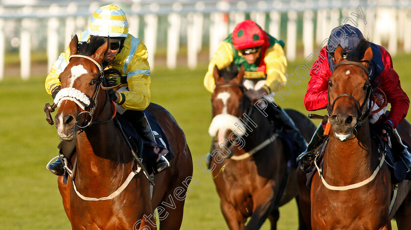 Sandret-0004 
 SANDRET (Graham Lee) beats STORTING (right) in The Coopers Marquees Classified Stakes
Doncaster 13 Sep 2019 - Pic Steven Cargill / Racingfotos.com