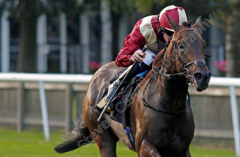 Bint-Al-Daar-0001 
 BINT AL DAAR (Daniel Muscutt) wins The Every Race Live On Racing TV Handicap
Newmarket 4 Aug 2023 - Pic Steven Cargill / Racingfotos.com