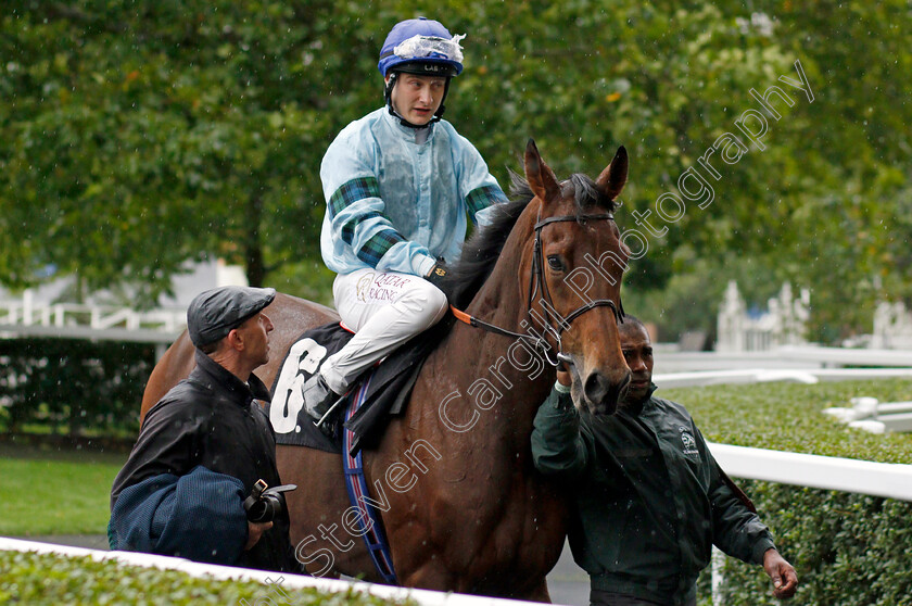 Quickthorn 
 QUICKTHORN (Cieren Fallon)
Ascot 2 Oct 2021 - Pic Steven Cargill / Racingfotos.com