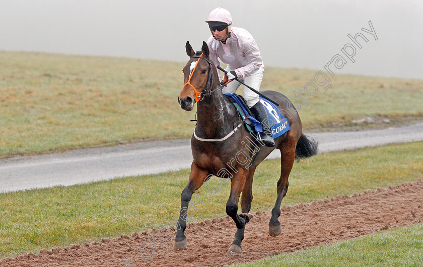 Tavus-0001 
 TAVUS (Joe Colliver)
Chepstow 27 Dec 2019 - Pic Steven Cargill / Racingfotos.com