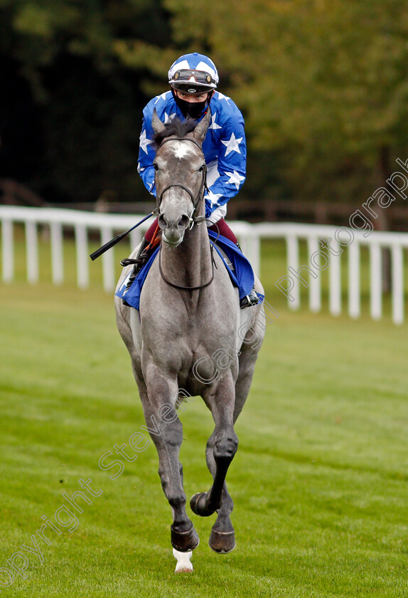 Qalansia-0001 
 QALANSIA (Rob Hornby)
Salisbury 1 Oct 2020 - Pic Steven Cargill / Racingfotos.com