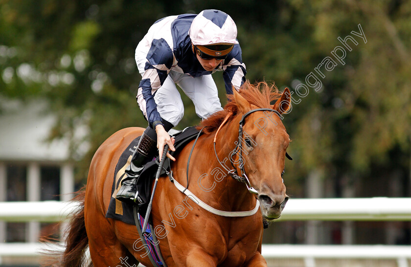 Vanitas-0004 
 VANITAS (Jason Watson) wins The Mansionbet Bet £10 Get £20 Fillies Handicap
Newmarket 27 Aug 2021 - Pic Steven Cargill / Racingfotos.com