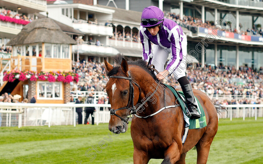 Saxon-Warrior-0003 
 SAXON WARRIOR (Ryan Moore)
York 22 Aug 2018 - Pic Steven Cargill / Racingfotos.com