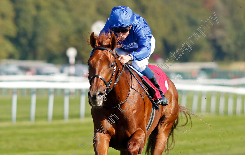 Castle-Way-0001 
 CASTLE WAY (William Buick) wins The Together Commercial Finance EBF Novice Stakes
Haydock 1 Sep 2022 - Pic Steven Cargill / Racingfotos.com