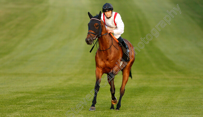 Squelch-0001 
 SQUELCH (Georgia Cox)
Newmarket 28 Jun 2019 - Pic Steven Cargill / Racingfotos.com