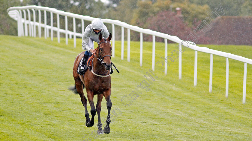 Dubai-Fountain-0001 
 DUBAI FOUNTAIN (William Buick)
Sandown 23 Aug 2020 - Pic Steven Cargill / Racingfotos.com