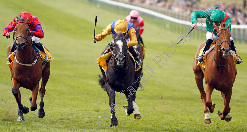 Dreamloper-0006 
 DREAMLOPER (left, Kieran Shoemark) beats VILLE DE GRACE (centre) and EBAIYRA (right) in The Betfair Exchange Dahlia Stakes
Newmarket 1 May 2022 - Pic Steven Cargill / Racingfotos.com