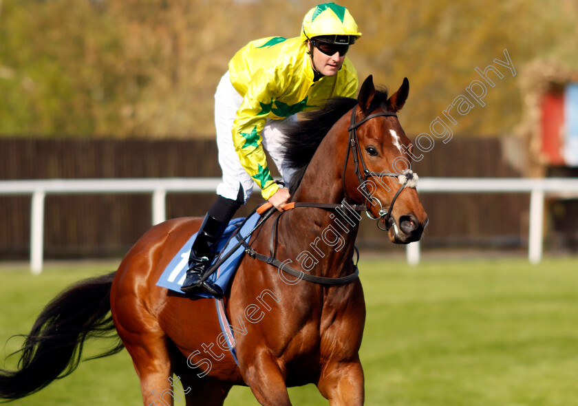 Volos 
 VOLOS (Tom Queally)
Leicester 23 Apr 2022 - Pic Steven Cargill / Racingfotos.com