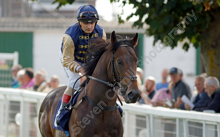 Manettino-0001 
 MANETTINO (Andrea Atzeni)
Yarmouth 16 Sep 2021 - Pic Steven Cargill / Racingfotos.com