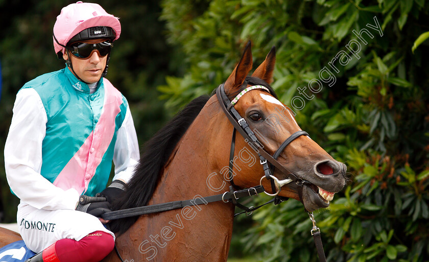 Enable-0004 
 ENABLE (Frankie Dettori) before winning The Coral Eclipse Stakes
Sandown 6 Jul 2019 - Pic Steven Cargill / Racingfotos.com