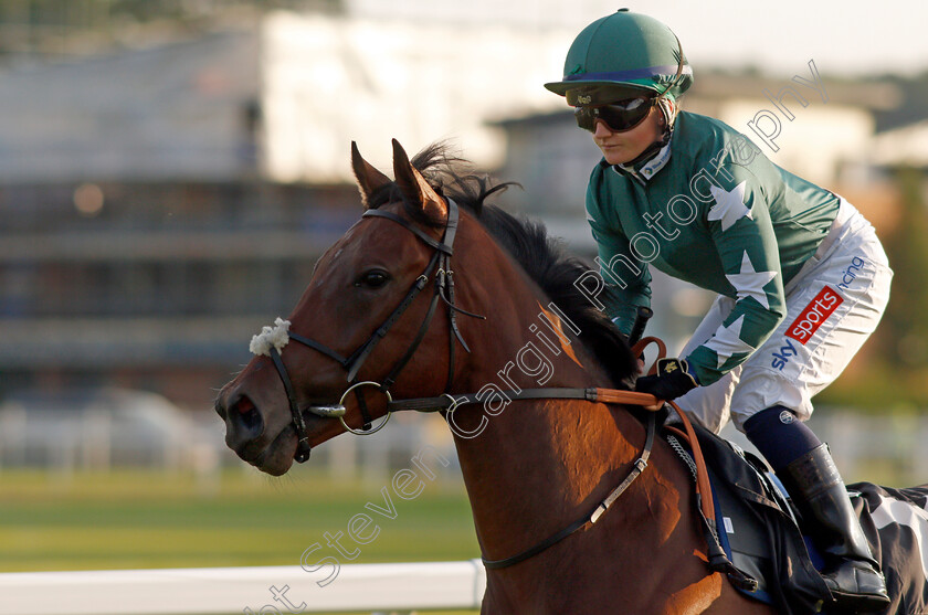 Stellar-Queen-0001 
 STELLAR QUEEN (Hollie Doyle)
Newbury 22 Jul 2021 - Pic Steven Cargill / Racingfotos.com