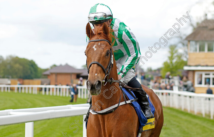 Mr-Lupton-0002 
 MR LUPTON (Paul Hanagan)
York 11 May 2022 - Pic Steven Cargill / Racingfotos.com