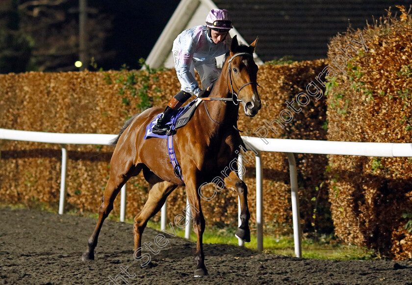 Invincible-Duke-0001 
 INVINCIBLE DUKE (Rossa Ryan)
Kempton 11 Dec 2024 - Pic Steven Cargill / Racingfotos.com