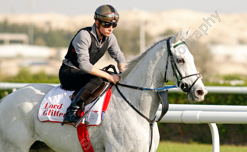 Lord-Glitters-0002 
 LORD GLITTERS (Jason Watson) exercising in preparation for Friday's Bahrain International Trophy
Sakhir Racecourse, Bahrain 17 Nov 2021 - Pic Steven Cargill / Racingfotos.com