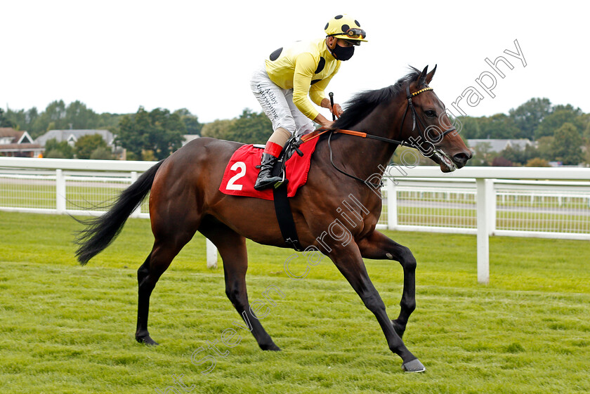 Aquaman-0001 
 AQUAMAN (Andrea Atzeni)
Sandown 23 Aug 2020 - Pic Steven Cargill / Racingfotos.com