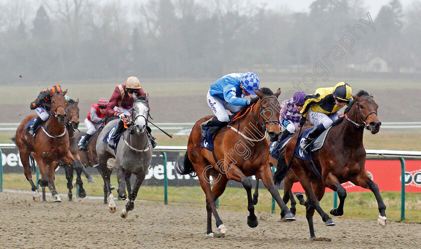 Mighty-Mac-0002 
 MIGHTY MAC (right, Oisin Murphy) beats SWEET AND DANDY (2nd right) in The Betway Novice Median Auction Stakes Lingfield 14 Feb 2018 - Pic Steven Cargill / Racingfotos.com