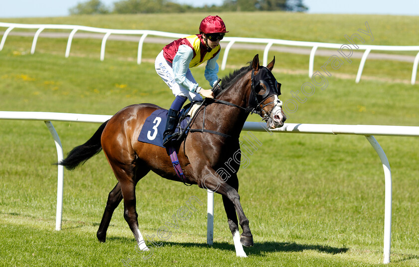 Commonsensical-0001 
 COMMONSENSICAL (Harry Davies) winner of The Plan A Consulting Handicap
Chepstow 27 May 2022 - Pic Steven Cargill / Racingfotos.com