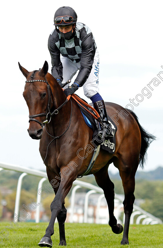 Lavender s-Blue-0002 
 LAVENDER'S BLUE (Jim Crowley)
Sandown 23 Aug 2020 - Pic Steven Cargill / Racingfotos.com