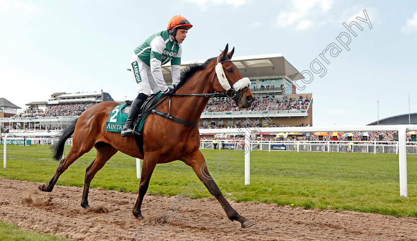 Calico-0001 
 CALICO (Harry Skelton)
Aintree 15 Apr 2023 - Pic Steven Cargill / Racingfotos.com