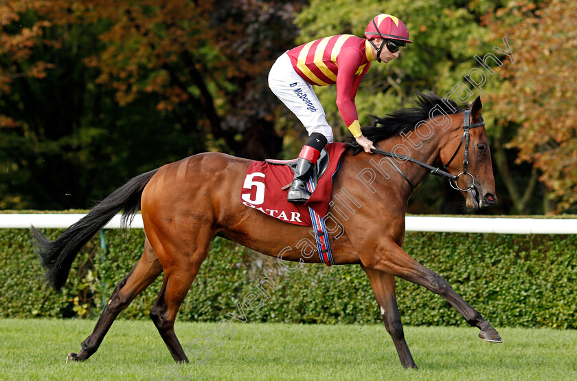 Agartha-0002 
 AGARTHA (Declan McDonogh)
Longchamp 3 Oct 2021 - Pic Steven Cargill / Racingfotos.com