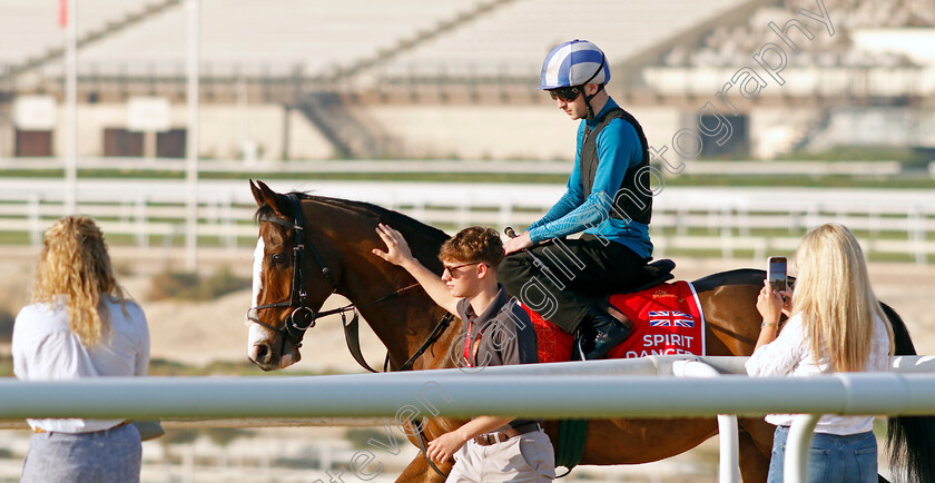 Spirit-Dancer-0002 
 SPIRIT DANCER training for the Bahrain International Trophy
Kingdom of Bahrain 13 Nov 2024 - Pic Steven Cargill / Racingfotos.com