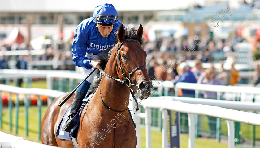 Lazuli-0001 
 LAZULI (William Buick) before The British Stallion Studs EBF Conditions Stakes
Doncaster 11 Sep 2019 - Pic Steven Cargill / Racingfotos.com