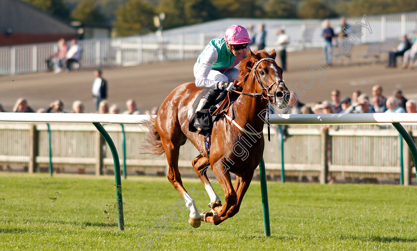 Boltaway-0004 
 BOLTAWAY (James Doyle) wins The Discover Newmarket Handicap
Newmarket 23 Sep 2021 - Pic Steven Cargill / Racingfotos.com