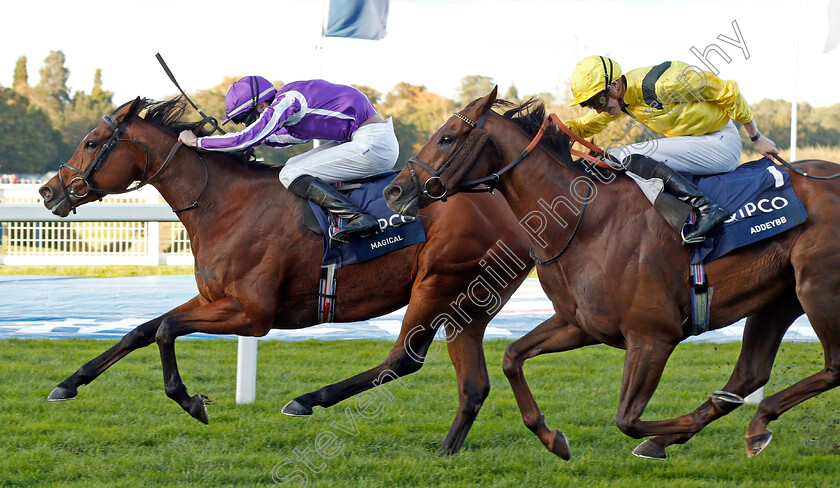 Magical-0005 
 MAGICAL (Donnacha O'Brien) beats ADDEYBB (right) in The Qipco Champion Stakes
Ascot 19 Oct 2019 - Pic Steven Cargill / Racingfotos.com