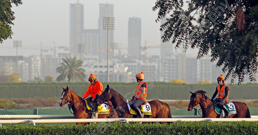 Mohaafeth,-My-Oberon-and-Dubai-Honour-0001 
 MOHAAFETH, MY OBERON and DUBAI HONOUR on their way to the main track 
Meydan, Dubai, 24 Mar 2022 - Pic Steven Cargill / Racingfotos.com