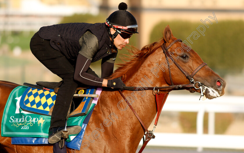 Taiba-0006 
 TAIBA training for the Saudi Cup
King Abdulaziz Racecourse, Kingdom Of Saudi Arabia, 23 Feb 2023 - Pic Steven Cargill / Racingfotos.com