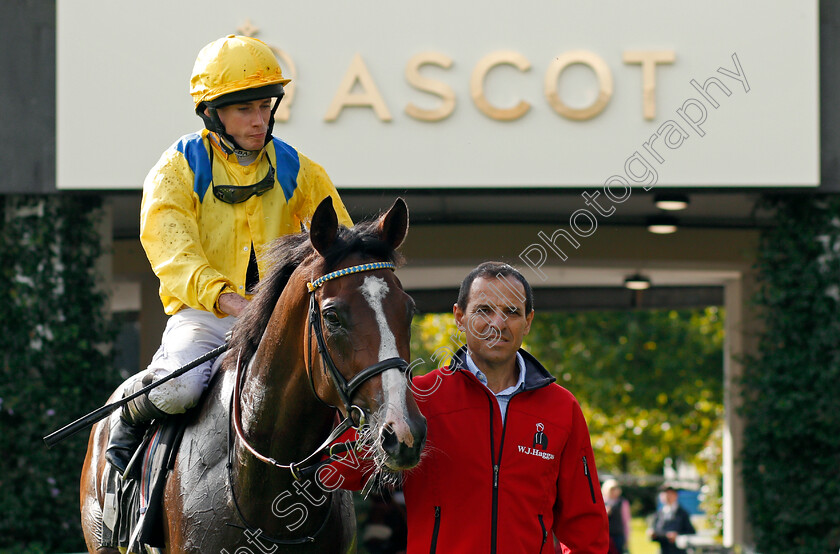 Reverend-Jacobs-0005 
 REVEREND JACOBS (Ryan Moore) after The Garden For All Seasons Maiden Stakes Ascot 8 Sep 2017 - Pic Steven Cargill / Racingfotos.com