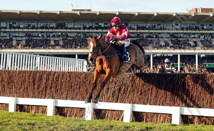 Ozzie-The-Oscar-0001 
 OZZIE THE OSCAR (Richard Johnson) Cheltenham 19 Nov 2017 - Pic Steven Cargill / Racingfotos.com