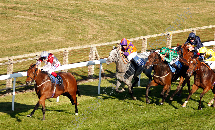 Beyond-Equal-0002 
 BEYOND EQUAL (Fran Berry) wins The Booker Ltd Handicap
Salisbury 3 Oct 2018 - Pic Steven Cargill / Racingfotos.com