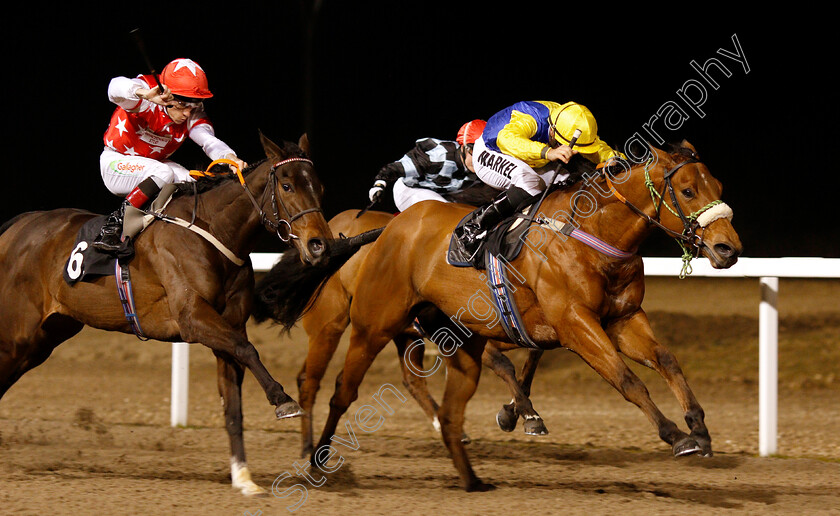 Cashel-0003 
 CASHEL (Tom Marquand) wins The Bet totescoop6 At totesport.com Handicap
Chelmsford 21 Feb 2019 - Pic Steven Cargill / Racingfotos.com