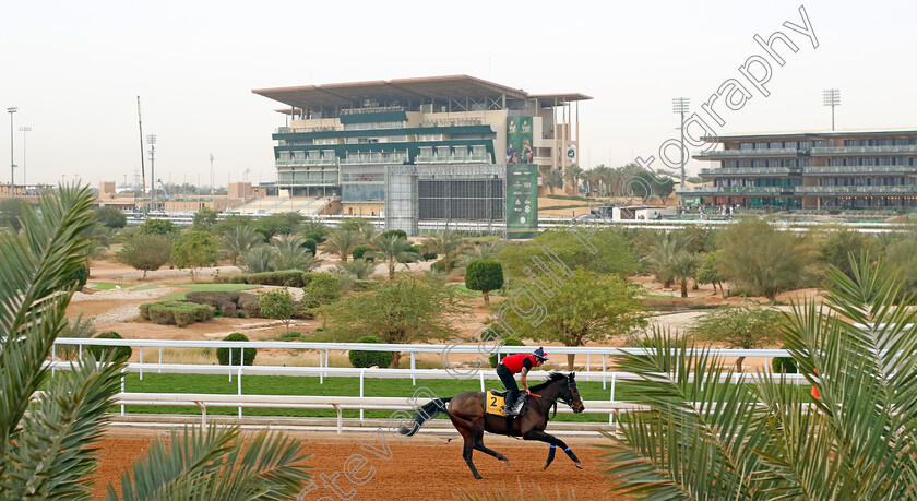 Astro-King-0002 
 ASTRO KING training for The Neom Turf Cup
King Abdulaziz Racetrack, Saudi Arabia 22 Feb 2024 - Pic Steven Cargill / Racingfotos.com