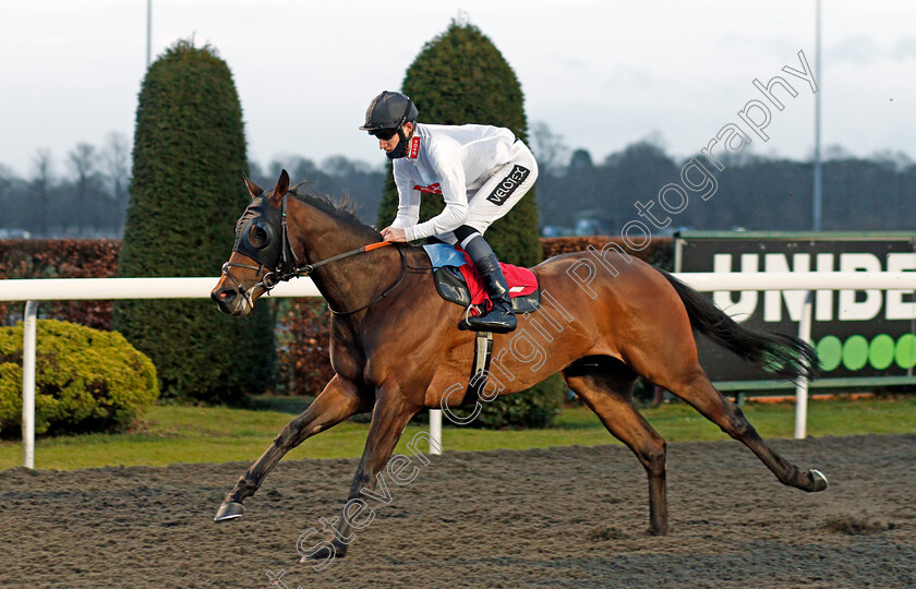 Mack-The-Knife-0005 
 MACK THE KNIFE (Daniel Muscutt) wins The Join Racing TV Now Classified Stakes
Kempton 16 Feb 2021 - Pic Steven Cargill / Racingfotos.com