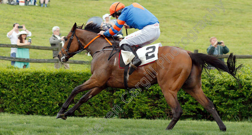 Markhan-0009 
 MARKHAN (Davy Russell) wins The George Sloan & John Sloan Sr Maiden Hurdle
Percy Warner Park, Nashville Tennessee USA, 11 May 2019 - Pic Steven Cargill / Racingfotos.com