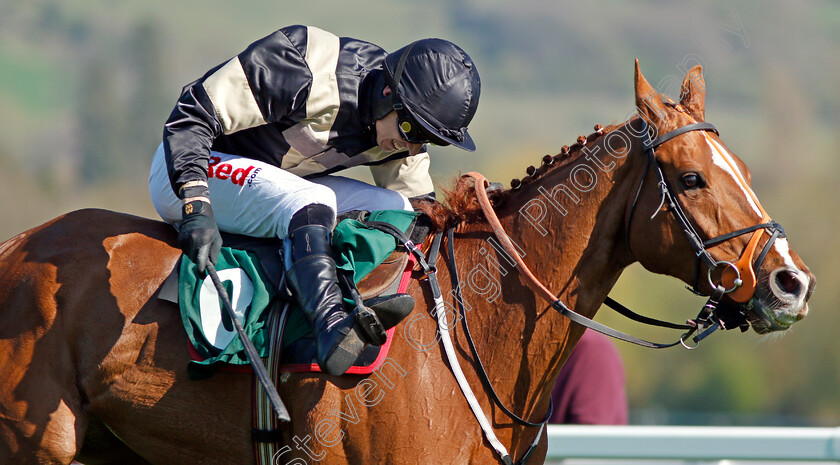 Winter-Lion-0006 
 WINTER LION (Paddy Brennan) wins The Nicholson Holman Handicap Chase Cheltenham 18 Apr 2018 - Pic Steven Cargill / Racingfotos.com