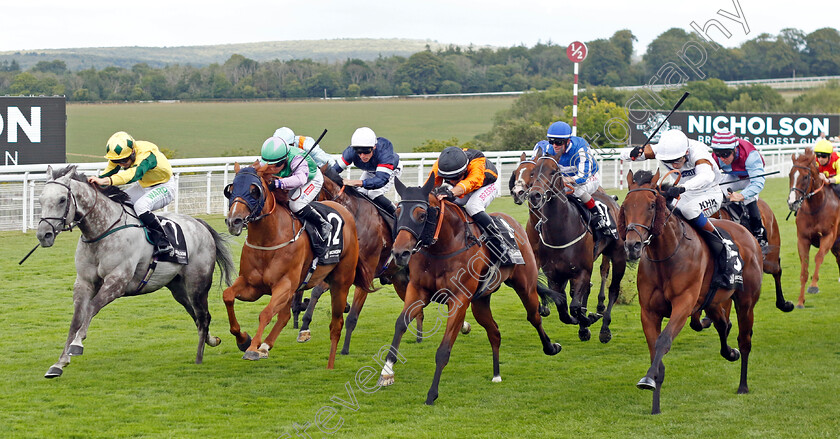 Lord-Riddiford-0002 
 LORD RIDDIFORD (left, Jason Hart) beats LIHOU (2nd left) NIGHT ON EARTH (2nd right) and DUSKY LORD (right) in The Nicholson Gin Handicap
Goodwood 26 Jul 2022 - Pic Steven Cargill / Racingfotos.com