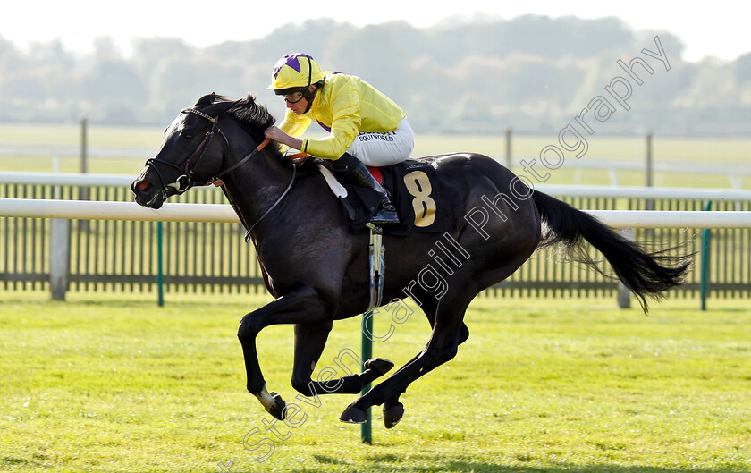 Rainbow-Heart-0006 
 RAINBOW HEART (Ryan Moore) wins The Shepherd Compello & EPG Fillies Novice Median Auction Stakes Div1
Newmarket 24 Oct 2018 - Pic Steven Cargill / Racingfotos.com