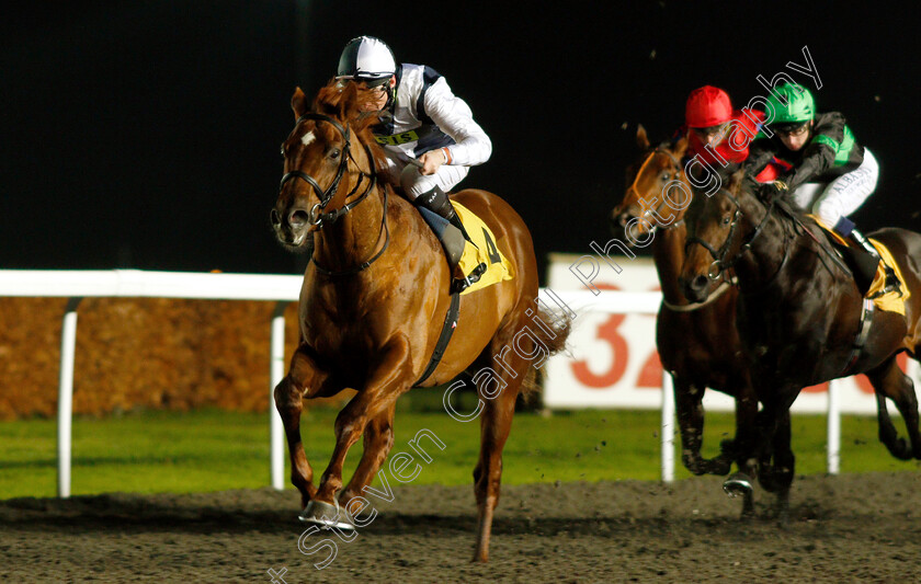 Honest-Albert-0004 
 HONEST ALBERT (Robert Havlin) wins The 100% Profit Boost At 32Redsport.com Novice Median Auction Stakes
Kempton 21 Nov 2018 - Pic Steven Cargill / Racingfotos.com