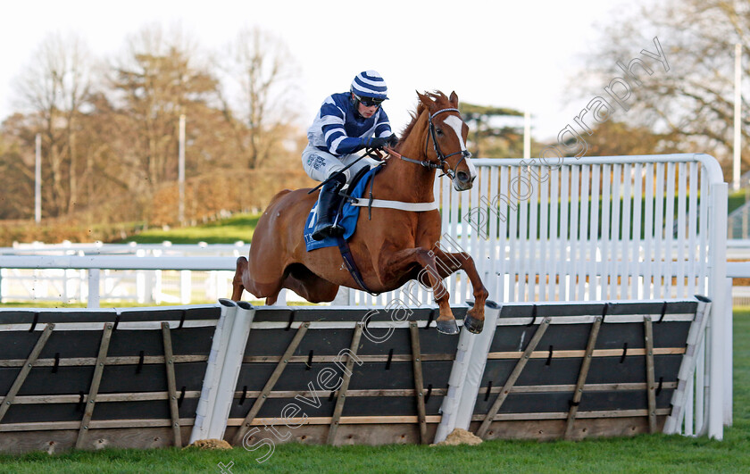 Celtic-Dino-0002 
 CELTIC DINO (Dylan Johnston) wins The Troy Asset Management Introductory Hurdle
Ascot 22 Nov 2024 - Pic Steven Cargill / Racingfotos.com