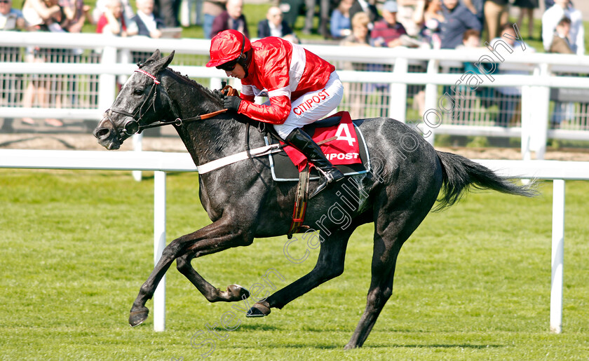 Diese-Des-Bieffes-0006 
 DIESE DES BIEFFES (Noel Fehily) wins The Citipost Novices Hurdle Cheltenham 18 Apr 2018 - Pic Steven Cargill / Racingfotos.com