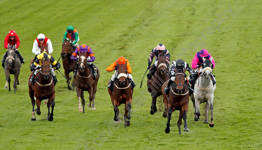 Wrenthorpe-0002 
 WRENTHORPE (2nd right, Graham Lee) beats FREE LOVE (centre) in The Mansionbet Proud To Support British Racing Handicap
Nottingham 14 Oct 2020 - Pic Steven Cargill / Racingfotos.com