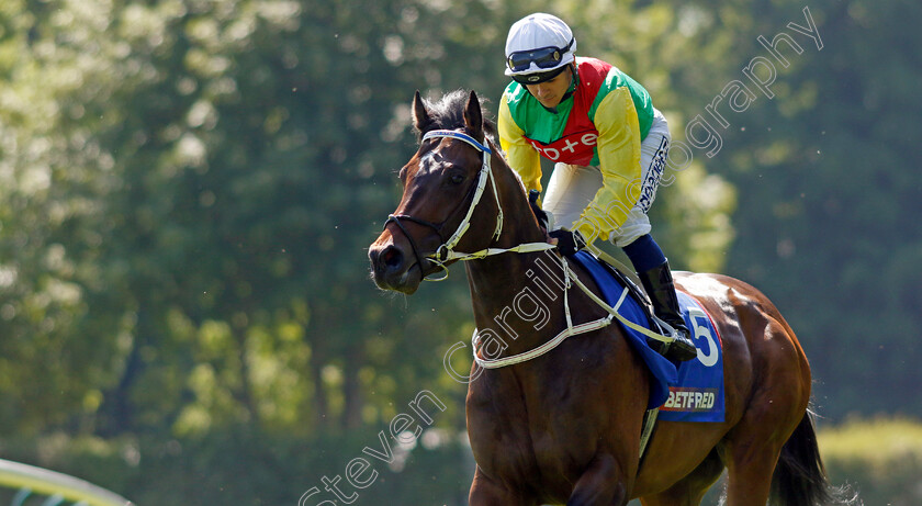 Mill-Stream-0003 
 MILL STREAM (Marco Ghiani)
Haydock 27 May 2023 - Pic Steven Cargill / Racingfotos.com