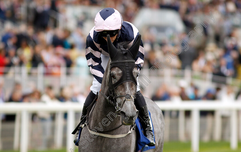 Lava-Stream-0002 
 LAVA STREAM (Daniel Tudhope)
York 22 Aug 2024 - pic Steven Cargill / Racingfotos.com