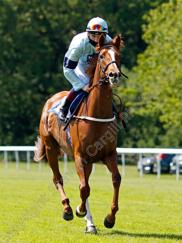 Dromquinna-0001 
 DROMQUINNA (David Egan)
Saslisbury 8 Jun 2021 - Pic Steven Cargill / Racingfotos.com